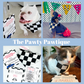 Pawty Pawtique